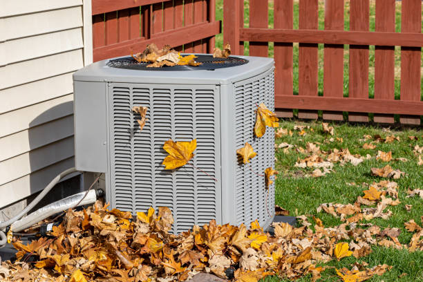 Best HVAC maintenance near me  in Chariton, IA